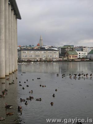 Reykjavik City Hall